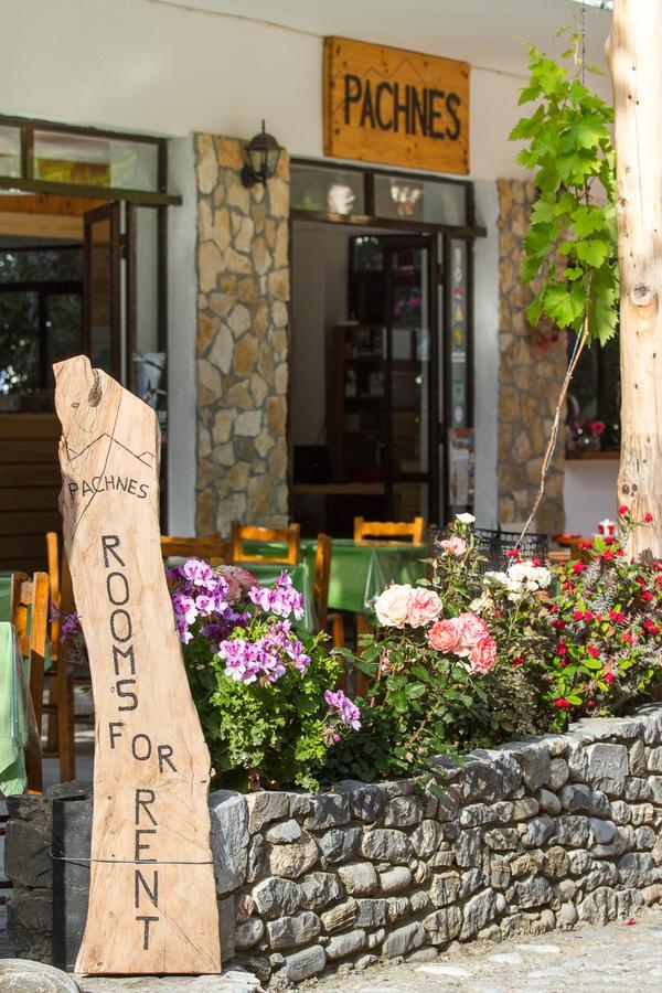 Pachnes Bed And Breakfast Agia Roumeli Exterior photo